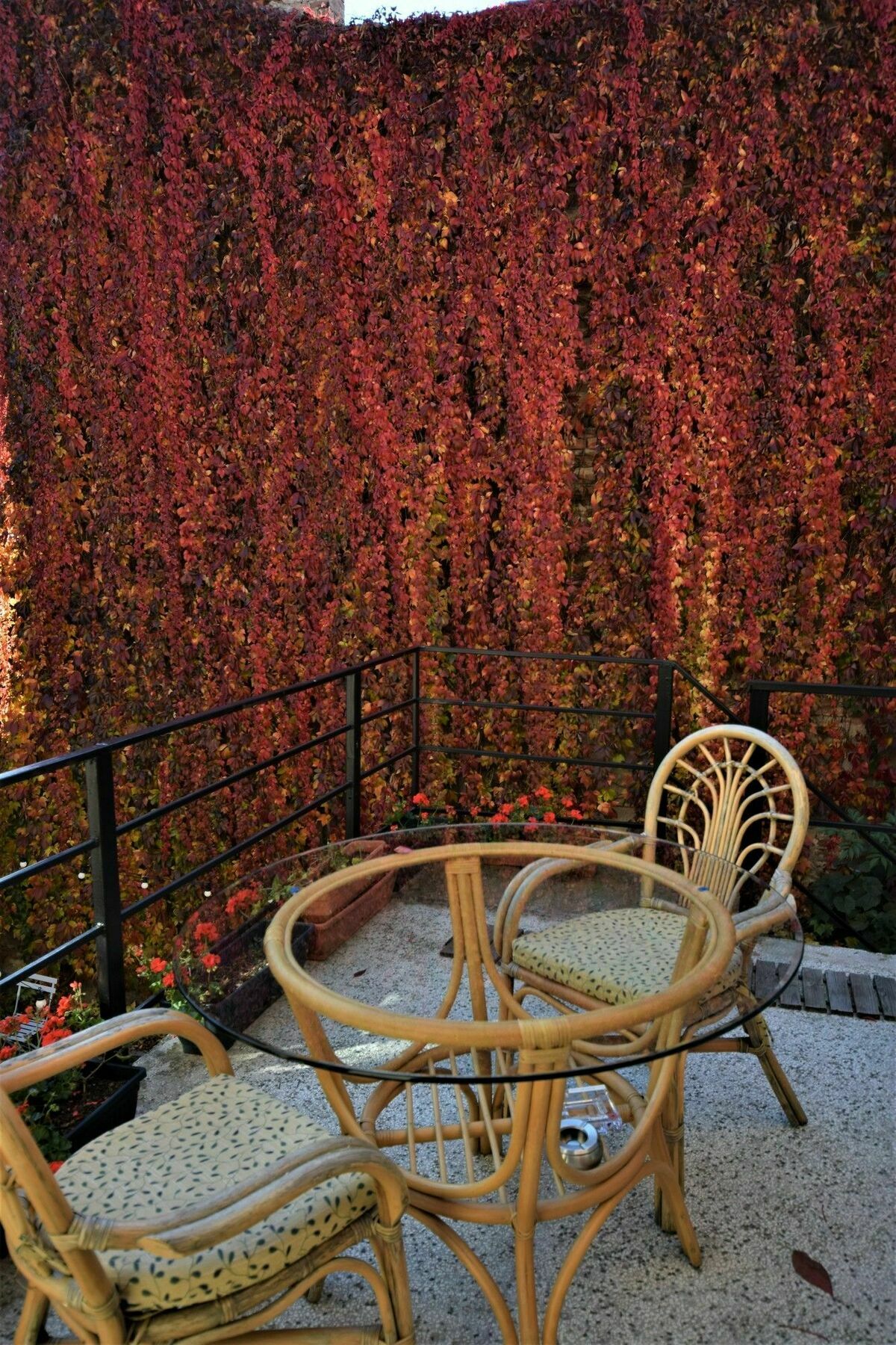 Goldsmith Bed & Breakfast Sibiu Exterior photo